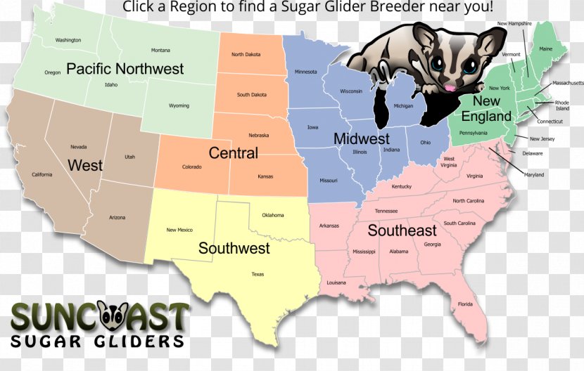 World Map Sugar Glider Web Mapping Transparent PNG
