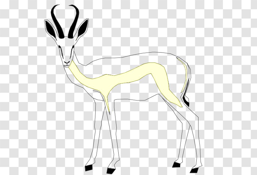 Springbok Gazelle Antelope Mammal Even-toed Ungulates - Neck Transparent PNG
