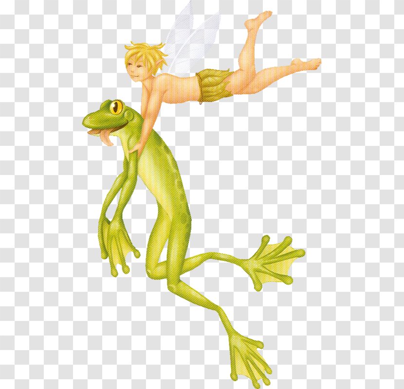 Frog Animal Drawing - Organism Transparent PNG