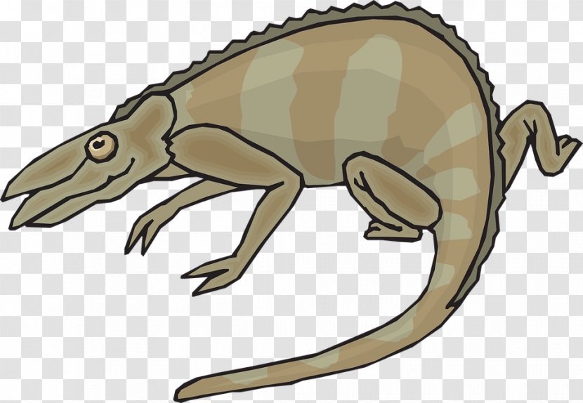Clip Art Chameleons Vector Graphics Image - Reptile - Gray Panther Transparent PNG