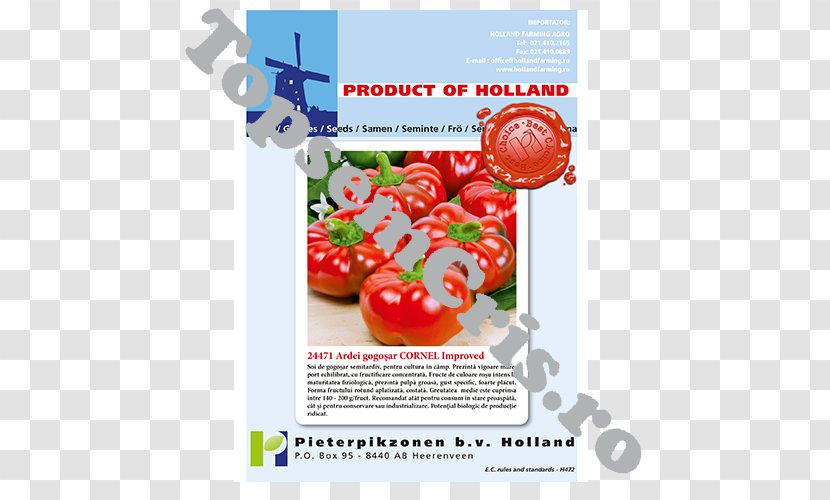 Tomato Local Food Advertising Natural Foods - Potato And Genus Transparent PNG