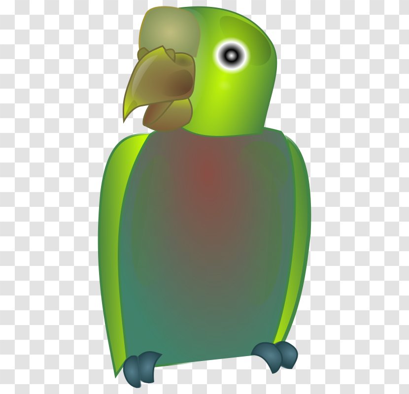 Parrot Bird Beak - Animated Cartoon Transparent PNG
