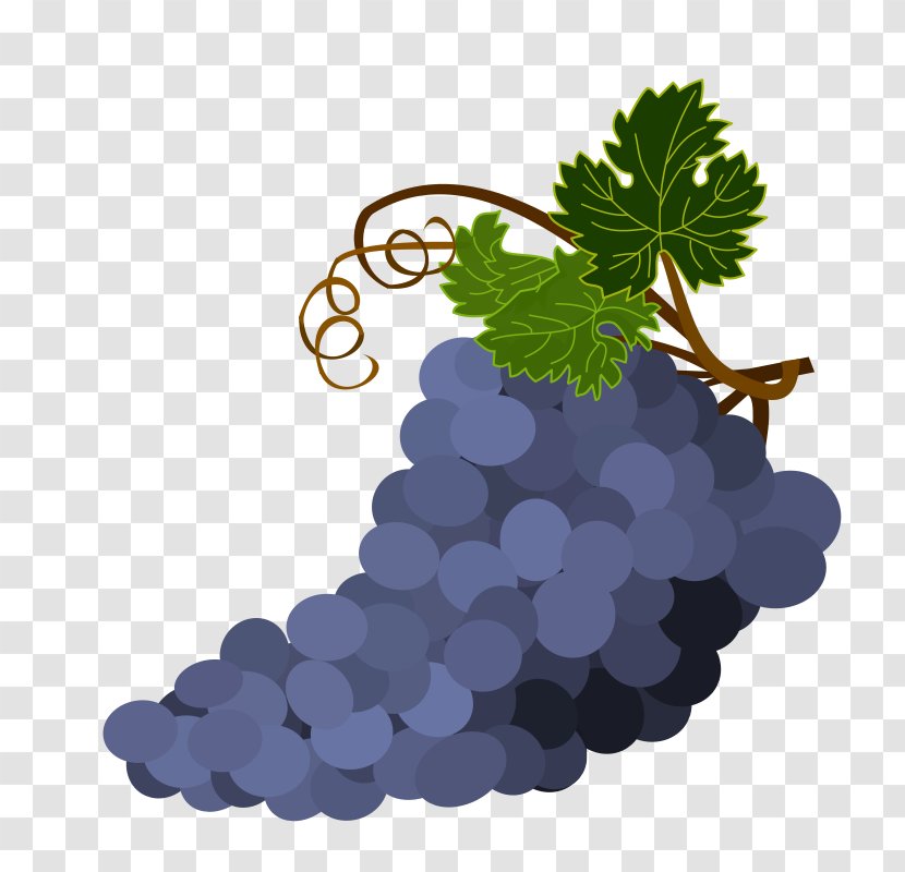 Common Grape Vine Wine Fruit Salad Sultana - Tree Transparent PNG