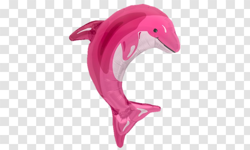 Toy Balloon Party Birthday Amazon River Dolphin Transparent PNG