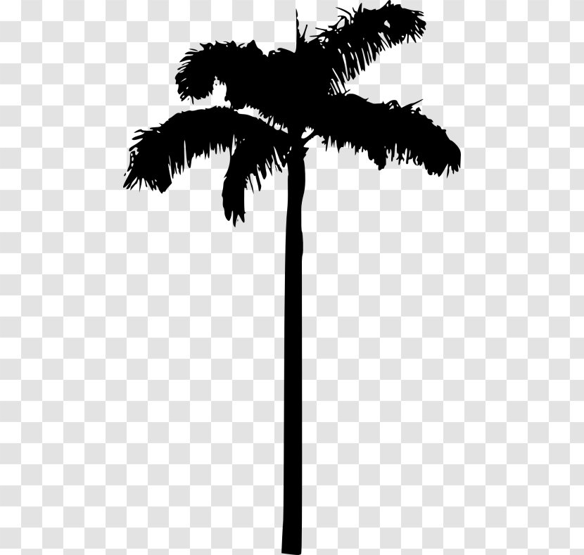 Asian Palmyra Palm Silhouette Arecaceae - Black And White Transparent PNG