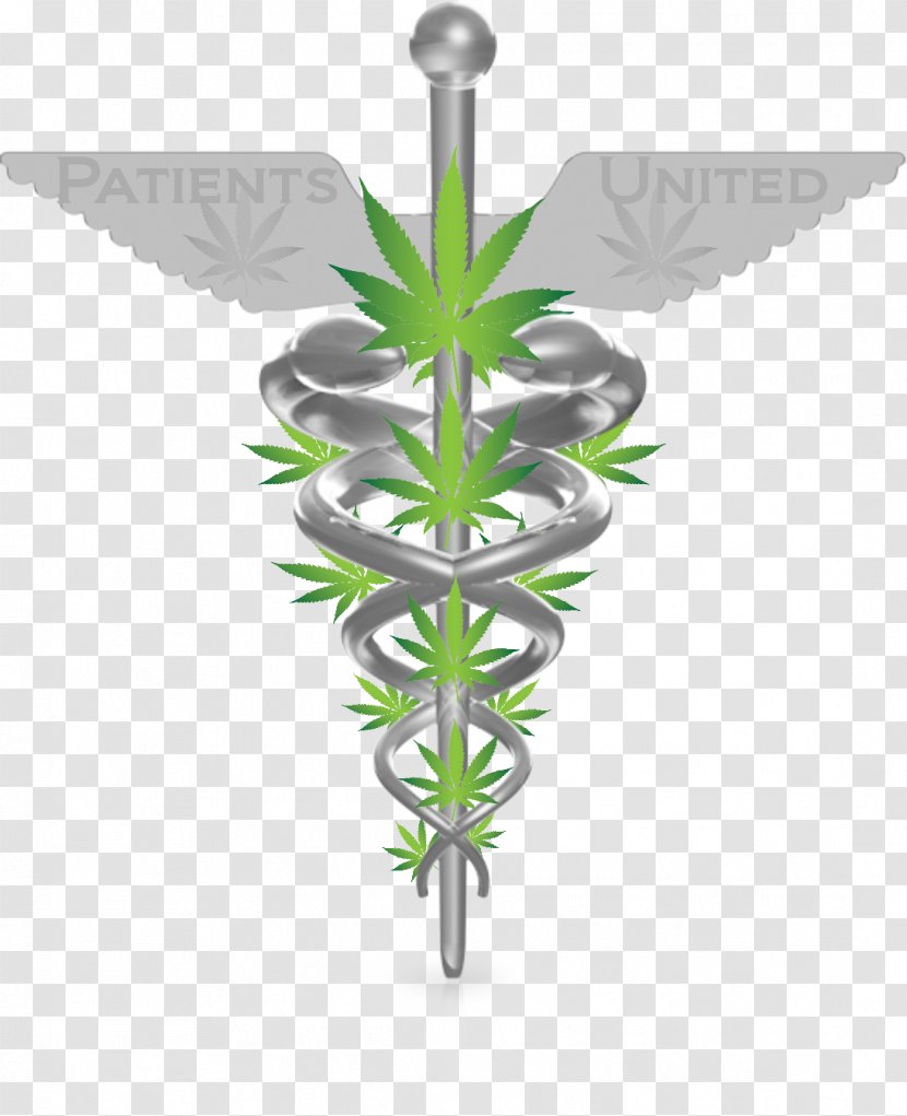 Medical Cannabis Cannabidiol Tetrahydrocannabinol Hemp - Medicine Transparent PNG