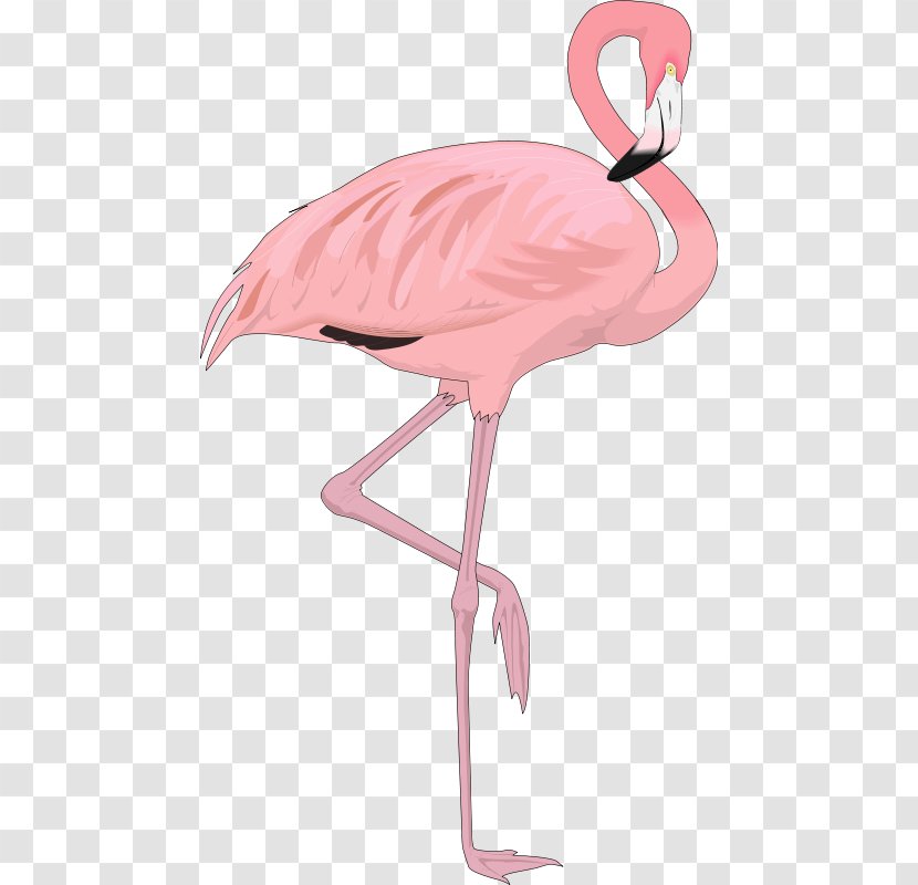 Flamingo Bird Clip Art - Red - Ostrich Transparent PNG