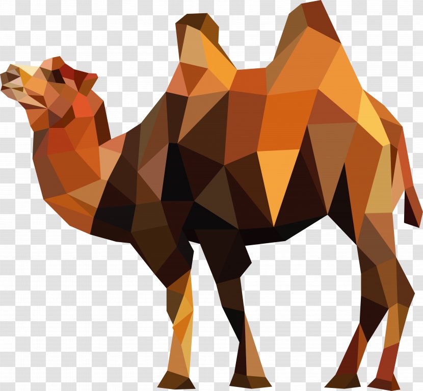 China Camel Logo - Decal - Vector Transparent PNG