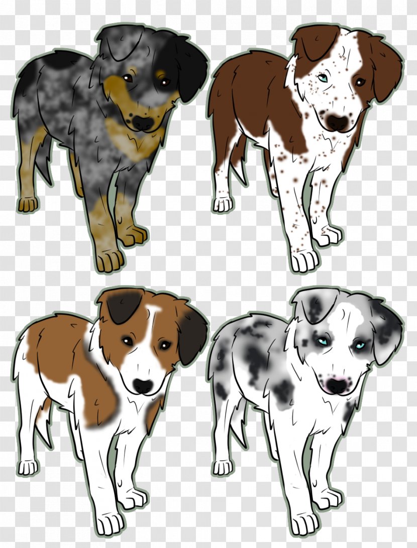 Dalmatian Dog English Foxhound Breed Puppy Companion - Border Collie Blue Merle Transparent PNG
