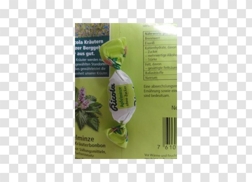 Plant - Herbal Transparent PNG