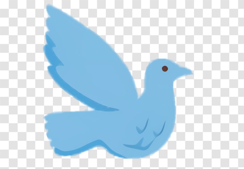 Bird Logo - Wing - Tail Transparent PNG