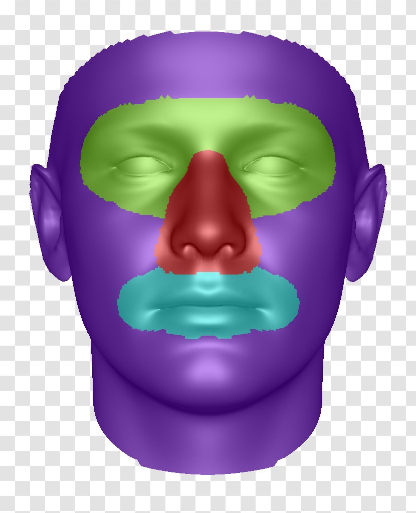 Nose Face Smile Geometry Cheek Transparent PNG