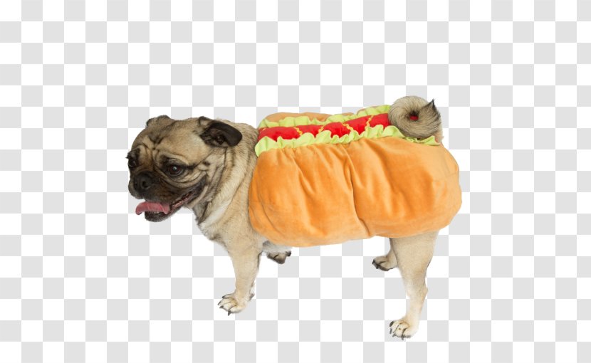 Pug Hot Dog Dachshund Puppy Beagle - Halloween Costume Transparent PNG
