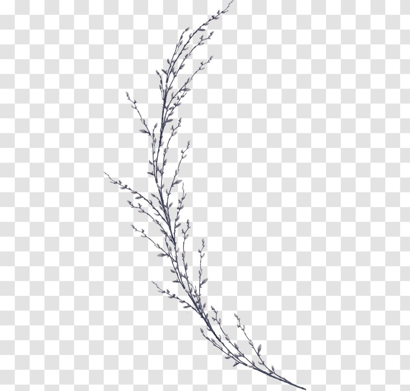 Twig Plant Stem Leaf Line Art Flower - White - Micro Invitations Transparent PNG