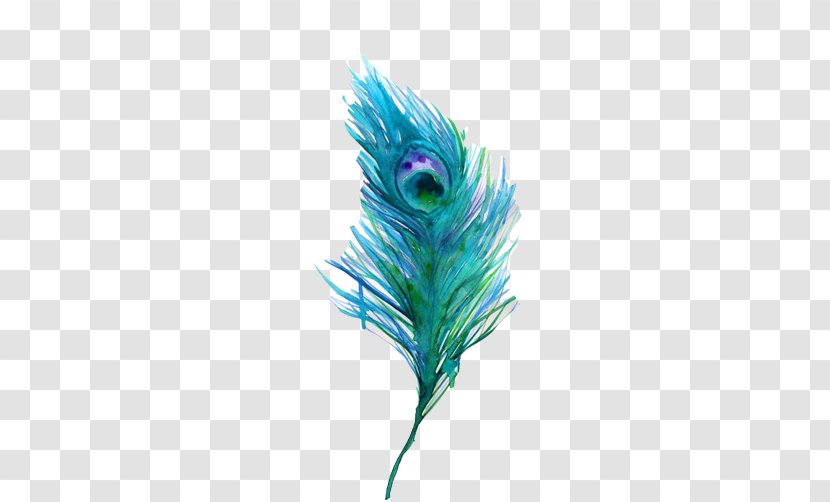 Bird Watercolor Painting Feather Peafowl - Peacock Stock Image Transparent PNG