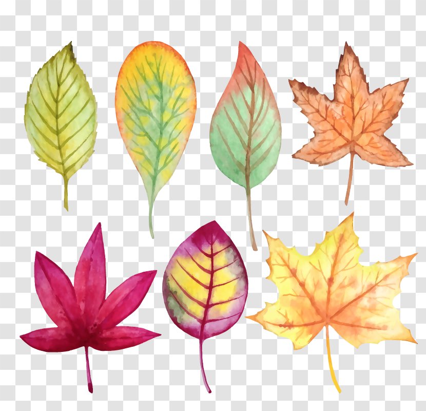 Creative Watercolor Vector Graphics Painting Autumn Image - Drawing Transparent PNG