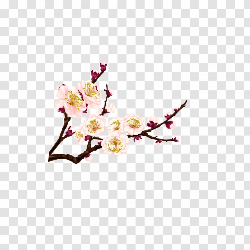 Plum - Cherry Blossom - Flower Transparent PNG
