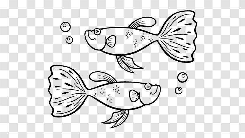 Siamese Fighting Fish Guppy Drawing Coloring Book - Aquarium Transparent PNG