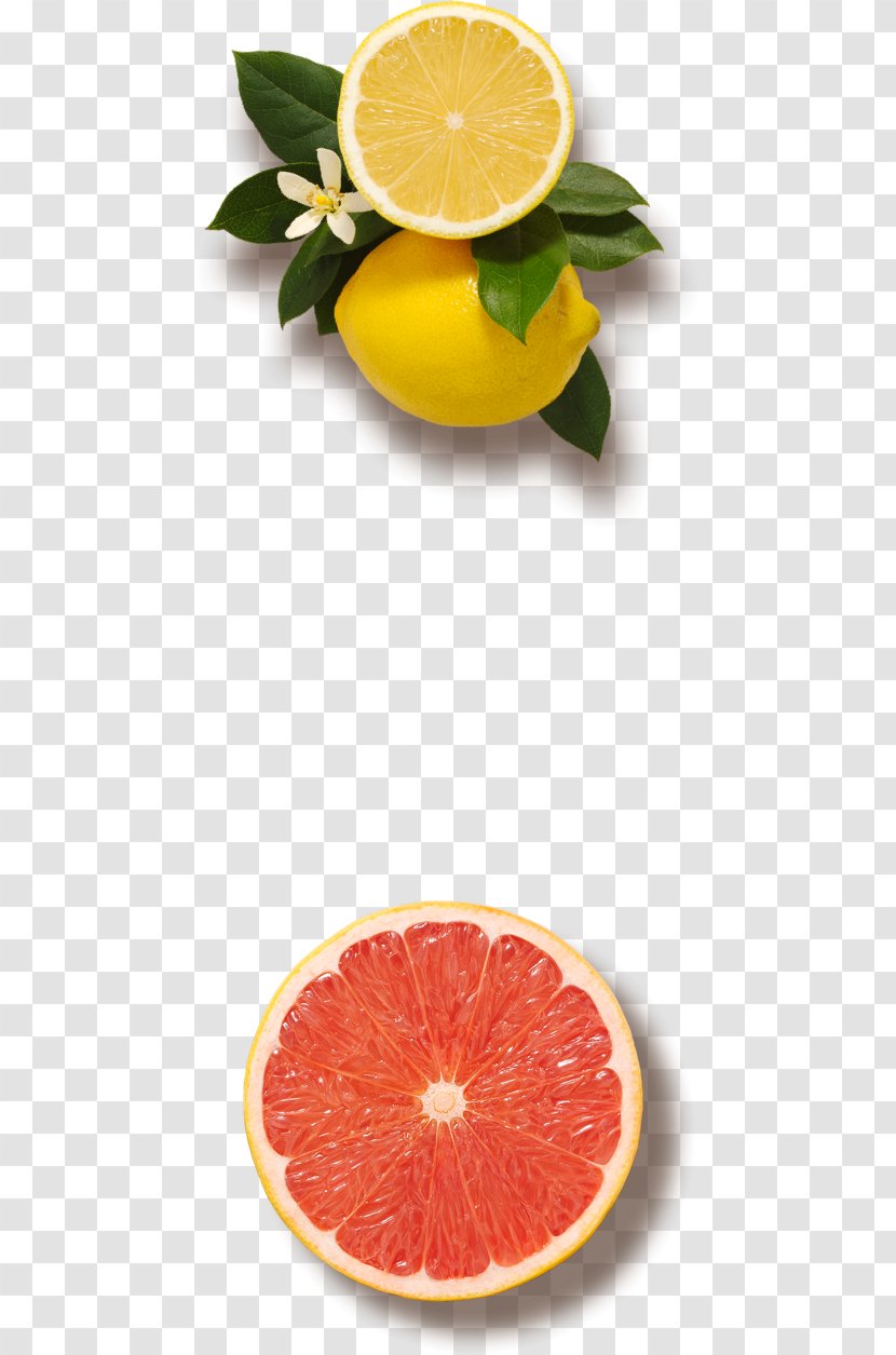 Blood Orange Grapefruit Juice - Fresh Salad Transparent PNG