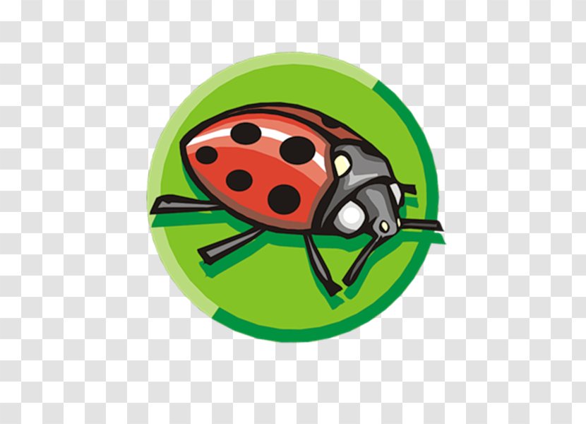Ladybird Insect Clip Art - Presentation - Lok Fu Transparent PNG