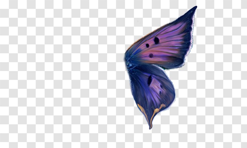 Ulysses Butterfly Wing Paper - Purple Transparent PNG