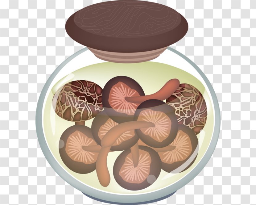 Vector Graphics Clip Art Illustration Shiitake - Red Raspberries - American Mayapple Rhizome Segments Transparent PNG