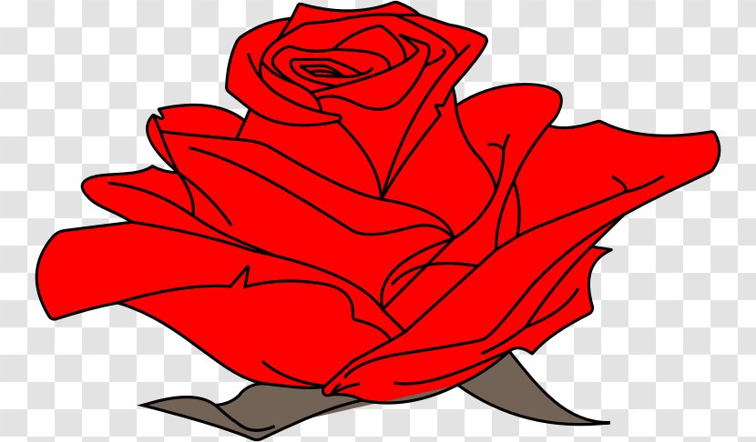 Garden Roses Drawing Line Art Clip - Artwork - Colored Transparent PNG