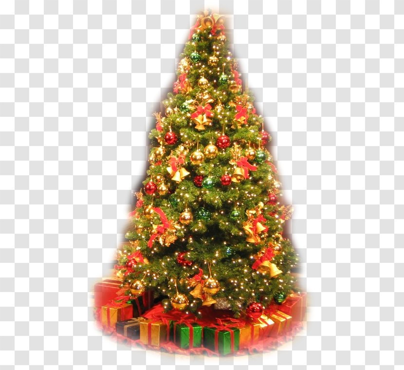 Christmas Tree Market Tradition - Decor Transparent PNG
