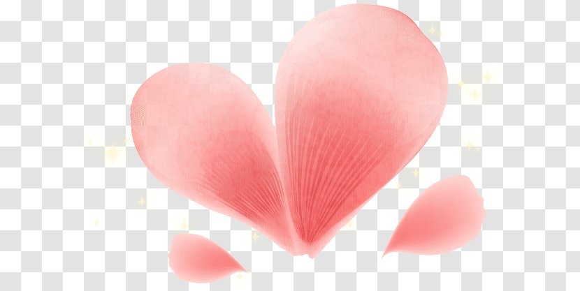 Love Close-up Pink M - Closeup - Line Heart Transparent PNG