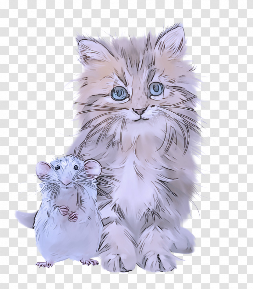 American Curl Kitten Wildcat Paw Whiskers Transparent PNG