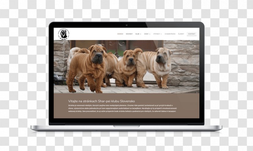 Dog Breed Multimedia Video Snout - Carnivoran - Shar Pei Transparent PNG