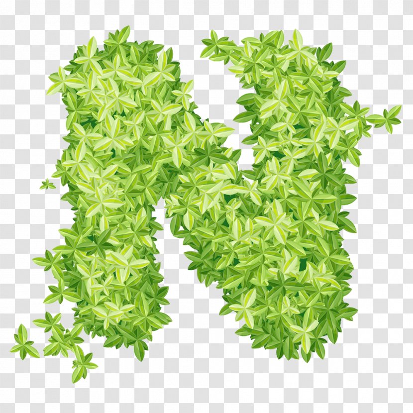 Leaf Xd1 - Green N Word Transparent PNG