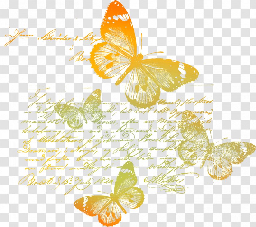 Paper Letter Clip Art - Butterfly - Alphabet Colorful Transparent PNG