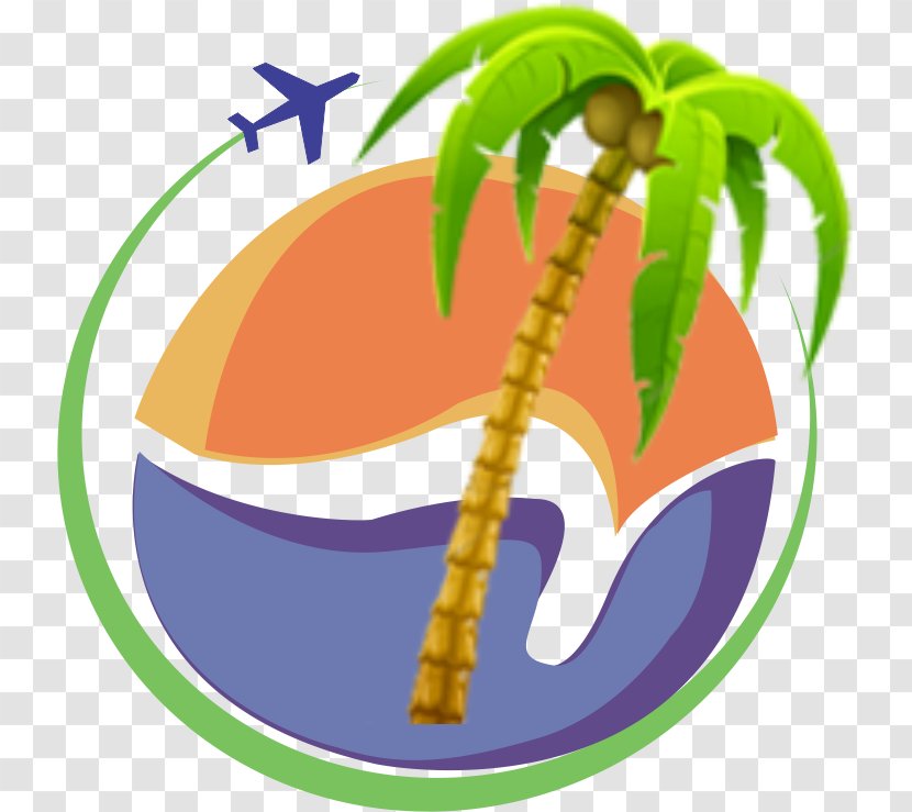 Coconut Arecaceae Tree Fruit - UMRAH Transparent PNG