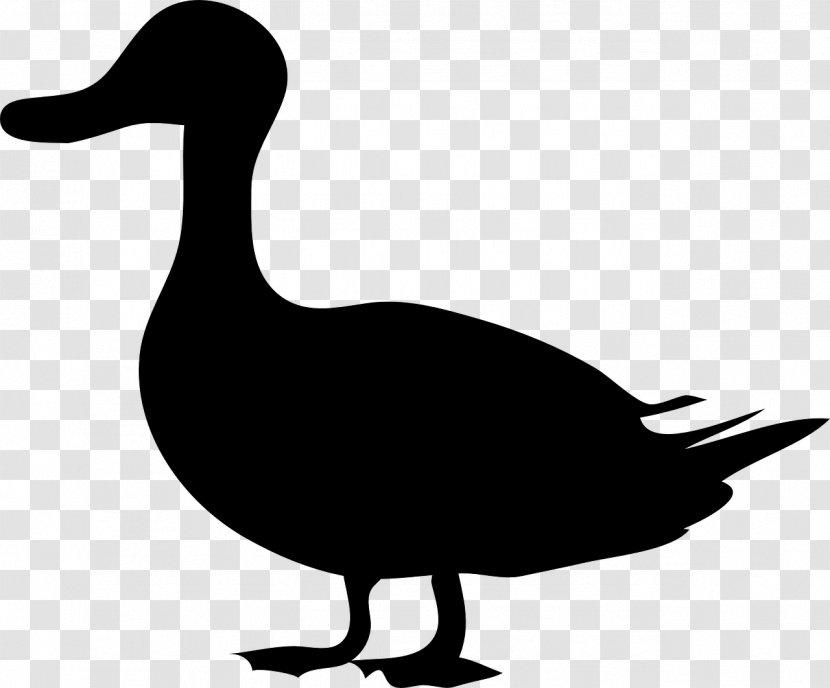 Duck Mallard Goose Silhouette Clip Art - Fauna Transparent PNG