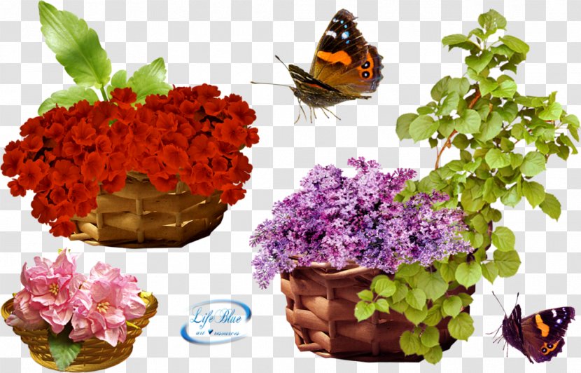 Flower Download Clip Art - Pollinator - Baskets Transparent PNG