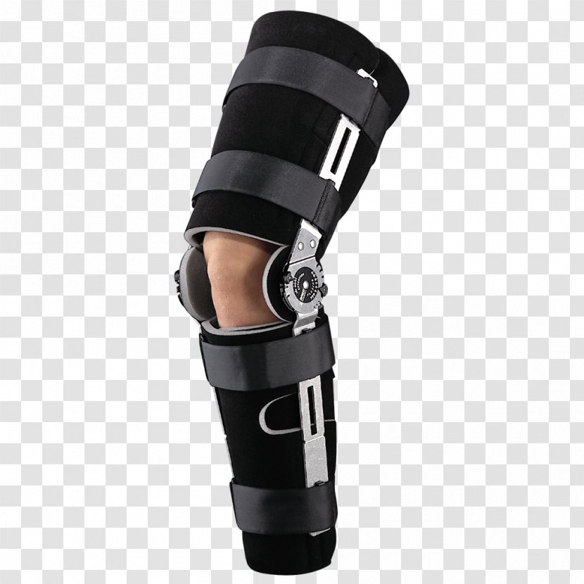 Knee Anterior Cruciate Ligament Joint Orthotics - Flower - Frame Transparent PNG