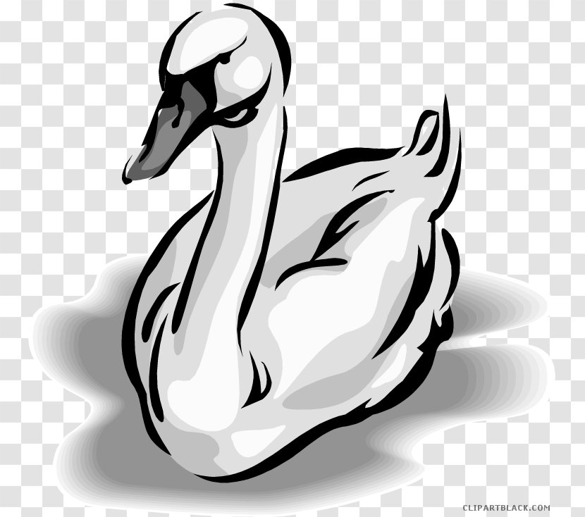 Goose Duck Clip Art Mute Swan Black - Monochrome Photography Transparent PNG