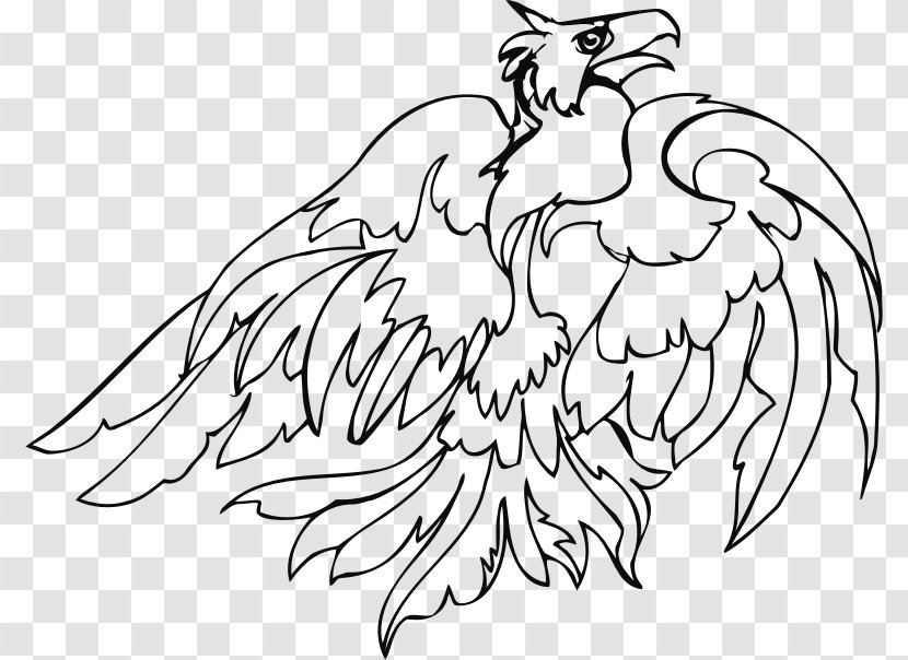 Bird Of Prey Chicken Line Art Clip - Cartoon Transparent PNG