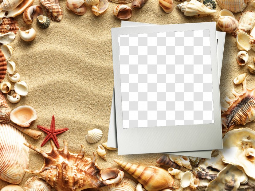 Picture Frame - Shell - Natural Material Pearl Transparent PNG