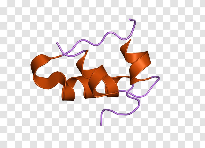 Insulin Detemir Islets Of Langerhans Diabetes Mellitus Beta Cell - Anabolism - Pancreas Transparent PNG