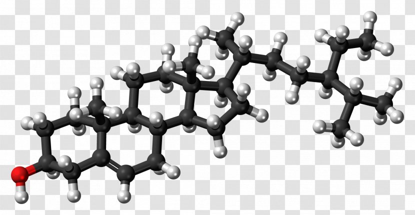 Cholesterol Lipid Molecule Food Chemical Substance - Fat - Red Black Background Transparent PNG