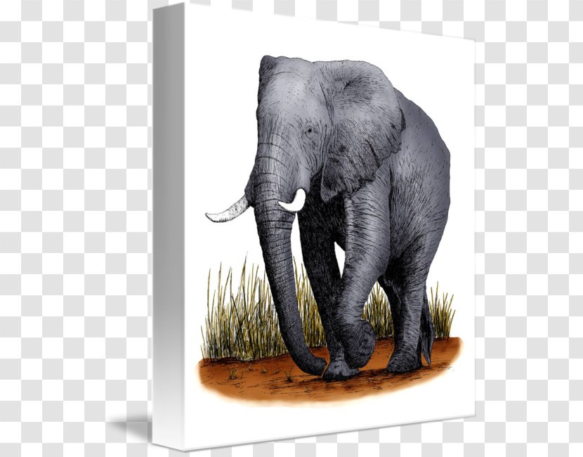 Indian Elephant African Bush Forest Wildlife - Fine Art - Creative Transparent PNG