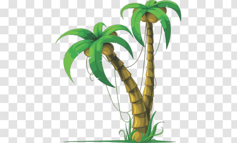 Royalty-free Arecaceae Coconut Tree Transparent PNG
