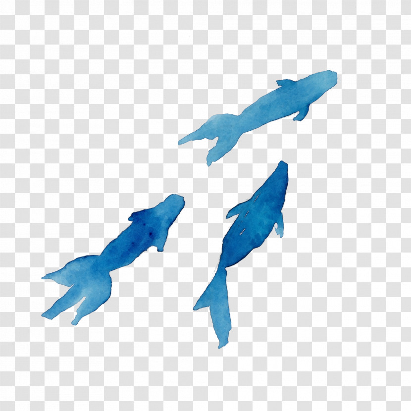 Animal Figure Fin Dolphin Transparent PNG