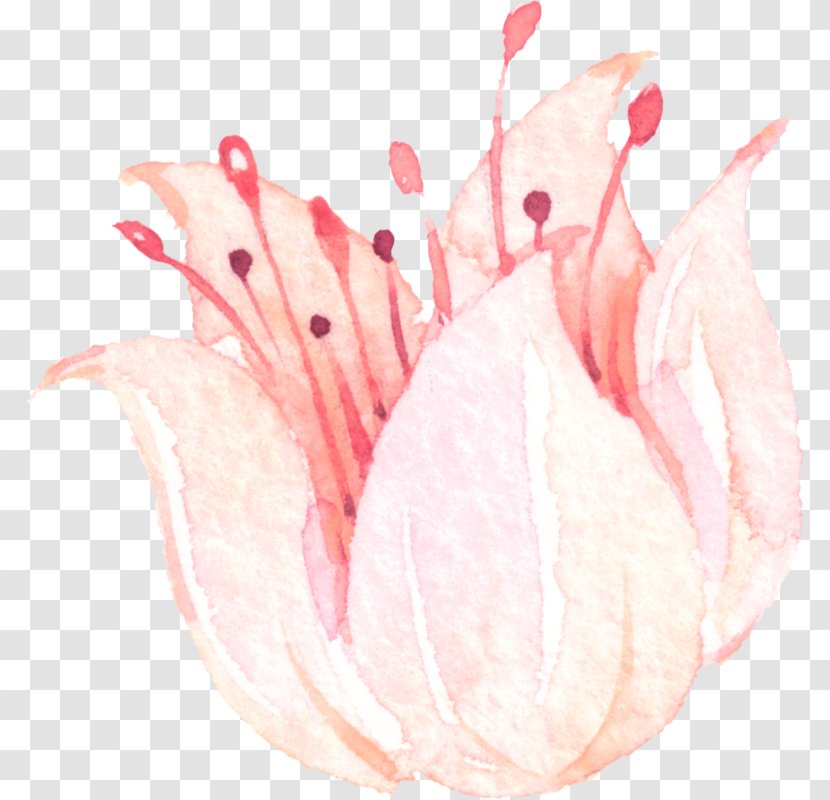 Flower Pink Clip Art Transparent PNG