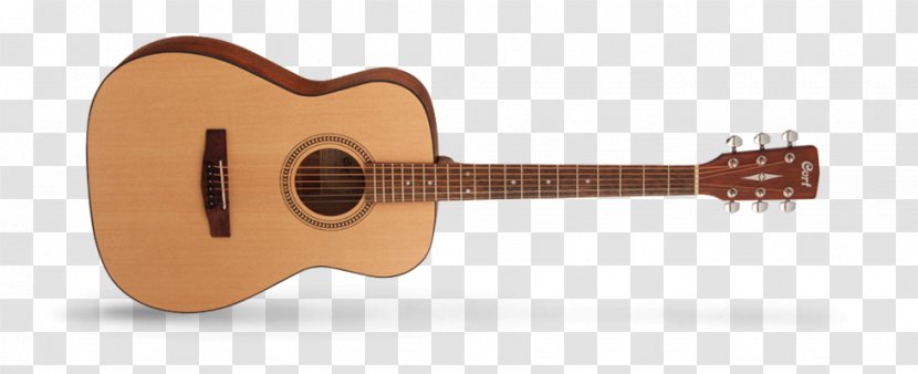 Acoustic Guitar Cort Guitars Dreadnought Musical Instruments - Flower Transparent PNG