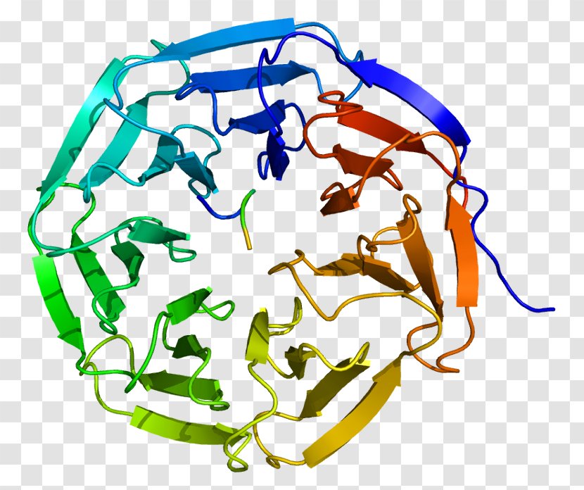 WDR5 WD40 Repeat Protein Family Acetyltransferase - Flower - Watercolor Transparent PNG