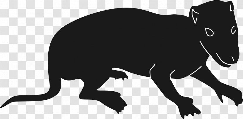 American Black Bear Brown Clip Art - Whiskers - Mammals Transparent PNG