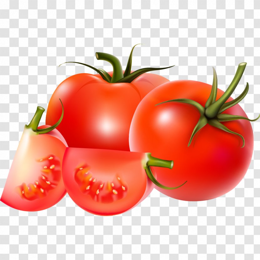 Cherry Tomato Vegetable Clip Art - Bush Transparent PNG